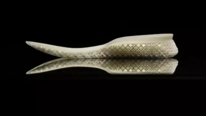 泉州開發(fā)出全國(guó)第一雙可以穿的3D打印鞋子 Sirod